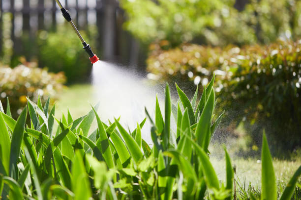 24/7 Emergency Wasp Removal experts in Porters Neck, NC