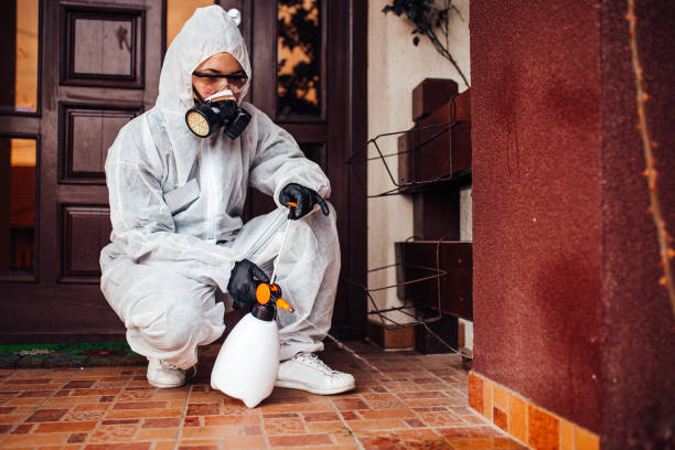 Reliable Wasp Removal contractor in Porters Neck, NC by Show Me Pest Control